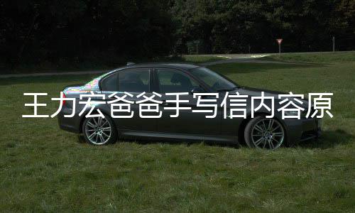 写信内容爸手币王力 称李靓蕾怀宏爸婚 原文孕逼要数亿台