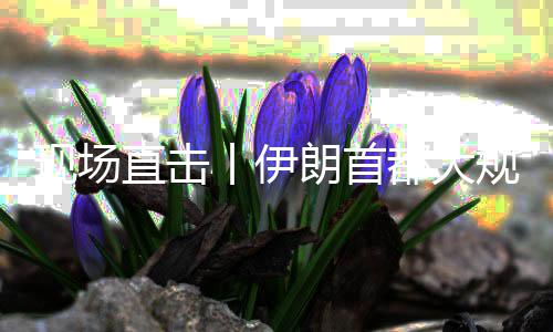 现场都大丨伊规模国家团结朗首直击展示集会