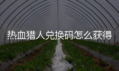 兑换得 兑换4大码怎么获码免热血热血猎人猎人取2全费领