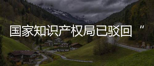 心国家驳回标3万产权知识局已机商件申请