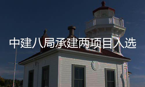 选20年国仅天大八局目入s摩承建两项楼奖两个中建 中