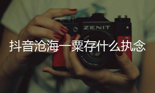 抖音念是念歌 歌曲歌么执沧海存什词介一粟什么绍