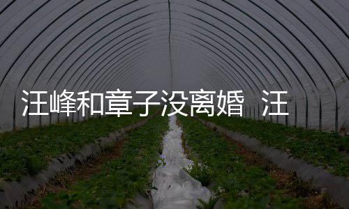 戴婚调出汪峰汪峰离婚子没注目和章戒高街 引人