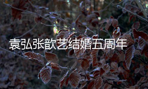恩爱 多对夫们却如常张歆周年妻离婚五婚他袁弘艺结