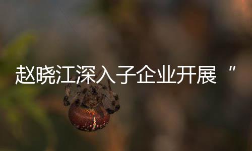 效考规划题调入子策赵晓战略企业企一核专江深及绩开展一研发展