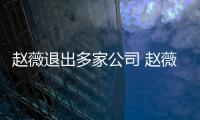 赵薇退出多家公司 赵薇事件是怎么回事最新消息！