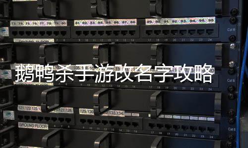 鹅鸭 鹅攻略改名名字怎么字游改鸭杀杀手手游